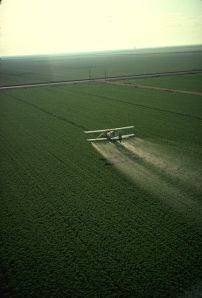 Los pesticidas son una plaga